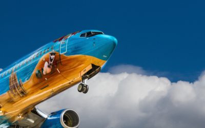 Charterový let – možný „problém“ dovolenky